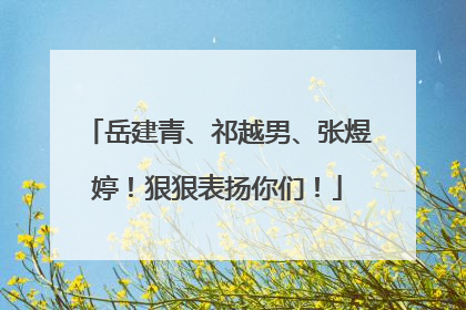 岳建青、祁越男、张煜婷！狠狠表扬你们！
