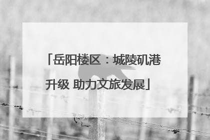 岳阳楼区：城陵矶港升级 助力文旅发展