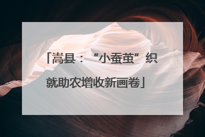 嵩县：“小蚕茧”织就助农增收新画卷