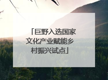 巨野入选国家文化产业赋能乡村振兴试点