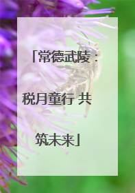 常德武陵：税月童行 共筑未来