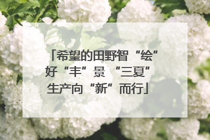 希望的田野智“绘”好“丰”景 “三夏”生产向“新”而行