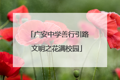 广安中学善行引路 文明之花满校园