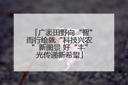 广袤田野向“智”而行绘就“科技兴农”新图景 好“丰”光传递新希望