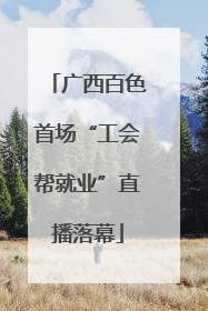广西百色首场“工会帮就业”直播落幕