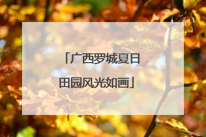 广西罗城夏日田园风光如画