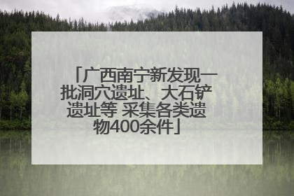 广西南宁新发现一批洞穴遗址、大石铲遗址等 采集各类遗物400余件