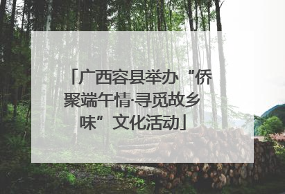 广西容县举办“侨聚端午情·寻觅故乡味”文化活动