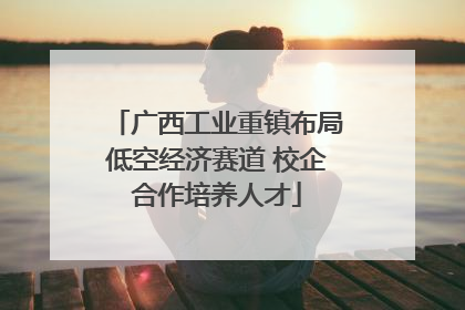 广西工业重镇布局低空经济赛道 校企合作培养人才