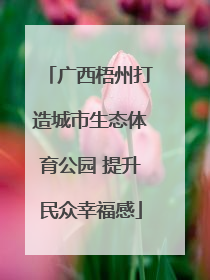 广西梧州打造城市生态体育公园 提升民众幸福感