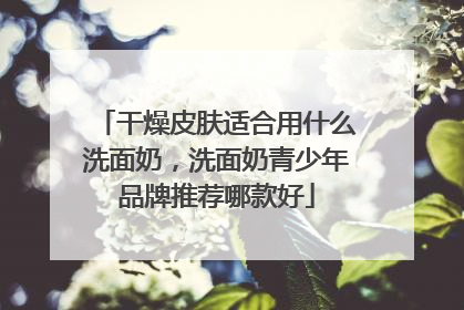 干燥皮肤适合用什么洗面奶，洗面奶青少年品牌推荐哪款好