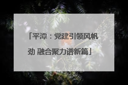 平潭：党建引领风帆劲 融合聚力谱新篇