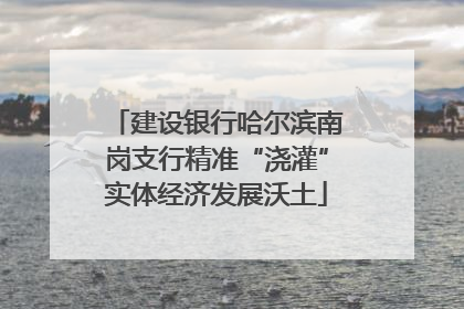 建设银行哈尔滨南岗支行精准“浇灌”实体经济发展沃土