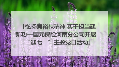 弘扬焦裕禄精神 实干担当建新功—国元保险河南分公司开展“迎七一”主题党日活动