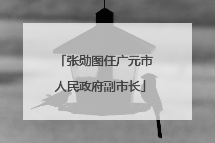 张勋图任广元市人民政府副市长
