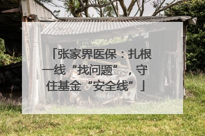 张家界医保：扎根一线“找问题”，守住基金“安全线”