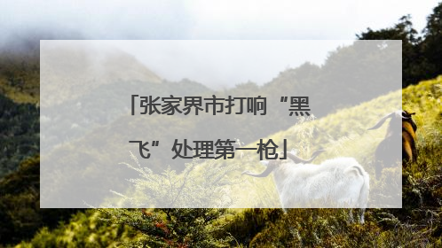 张家界市打响“黑飞”处理第一枪
