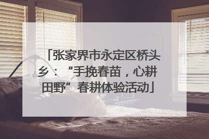 张家界市永定区桥头乡：“手挽春苗，心耕田野”春耕体验活动