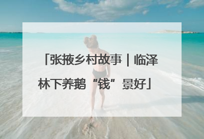 张掖乡村故事｜临泽林下养鹅“钱”景好