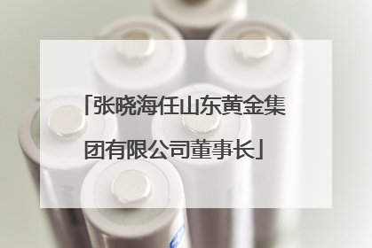 张晓海任山东黄金集团有限公司董事长