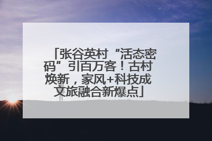 张谷英村“活态密码”引百万客！古村焕新，家风+科技成文旅融合新爆点