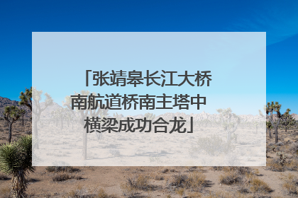 张靖皋长江大桥南航道桥南主塔中横梁成功合龙