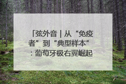 弦外音｜从“免疫者”到“典型样本”：葡萄牙极右翼崛起背后的欧洲困局