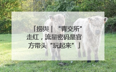 捞舆｜“青交所”走红，流量密码是官方带头“玩起来”