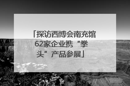 探访西博会南充馆 62家企业携“拳头”产品参展