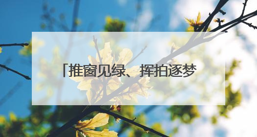 推窗见绿、挥拍逐梦，东营港“小城大爱”奏响文明新乐章