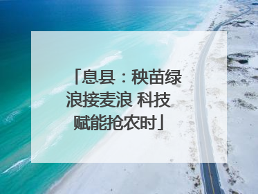 息县：秧苗绿浪接麦浪 科技赋能抢农时