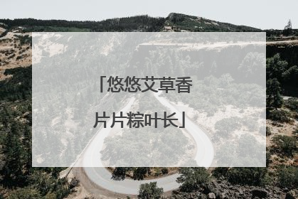 悠悠艾草香 片片粽叶长