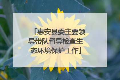 惠安县委主要领导带队督导检查生态环境保护工作