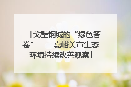 戈壁钢城的“绿色答卷”——嘉峪关市生态环境持续改善观察