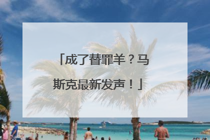 成了替罪羊？马斯克最新发声！