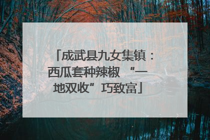 成武县九女集镇：西瓜套种辣椒 “一地双收”巧致富