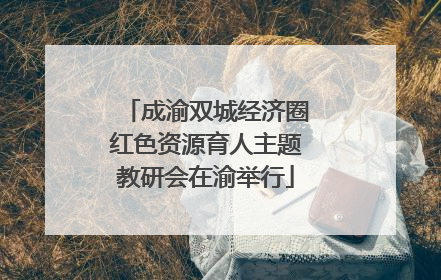 成渝双城经济圈红色资源育人主题教研会在渝举行