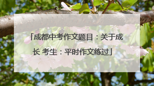 成都中考作文题目：关于成长 考生：平时作文练过