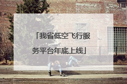 我省低空飞行服务平台年底上线
