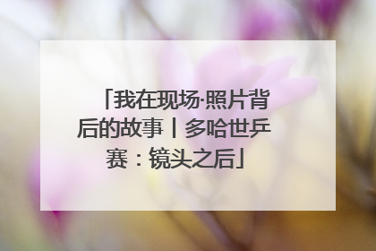 我在现场·照片背后的故事丨多哈世乒赛：镜头之后