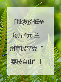 批发价低至每斤4元 兰州市民享受“荔枝自由”