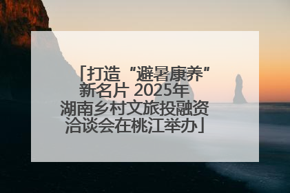打造“避暑康养”新名片 2025年湖南乡村文旅投融资洽谈会在桃江举办