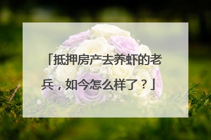 抵押房产去养虾的老兵，如今怎么样了？