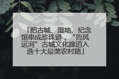 把古城、湿地、纪念馆串成珍珠链，“鲁风运河”古城文化廊道入选十大最美农村路