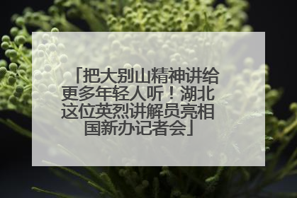 把大别山精神讲给更多年轻人听！湖北这位英烈讲解员亮相国新办记者会