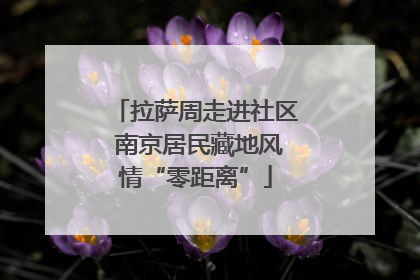 拉萨周走进社区 南京居民藏地风情“零距离”