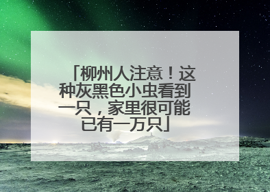 柳州人注意！这种灰黑色小虫看到一只，家里很可能已有一万只