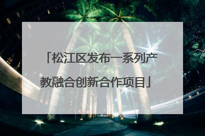 松江区发布一系列产教融合创新合作项目