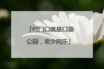 村门口就是口袋公园，老少同乐