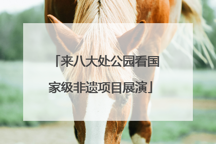 来八大处公园看国家级非遗项目展演